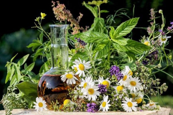 השפעת הטעם המר על מערכת הנשימה – Bitter taste influence on respiratory system