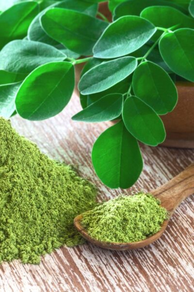 מורינגה רותמית – Moringa peregrina