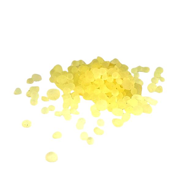 אלת המסטיק – Pistacia lentiscus