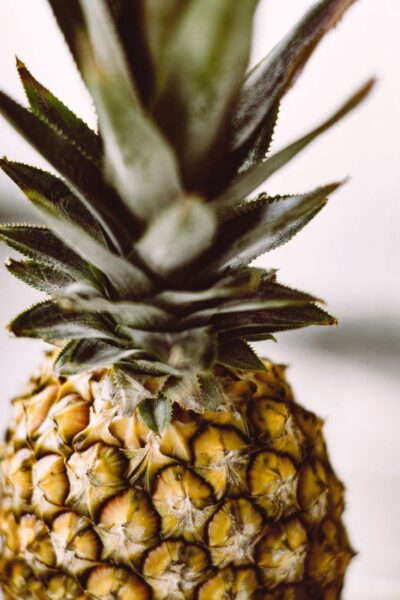 Ananas comosus – ברומלין