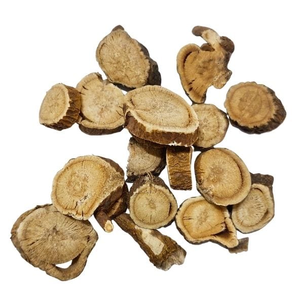 Sophora flavescens