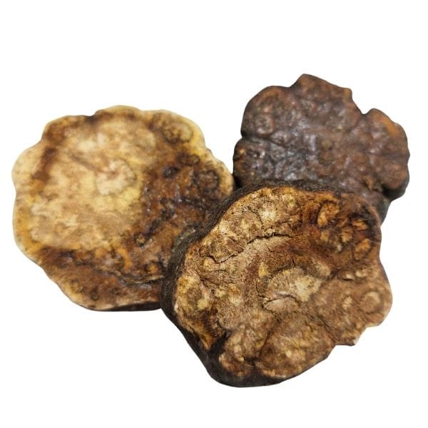 ארכובית רבת פרחים – Polygonum multiflorum