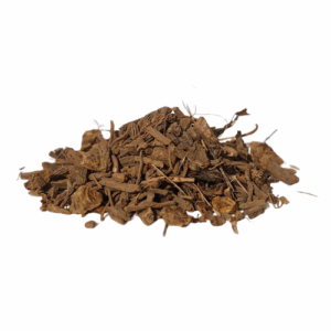 וולריאן נאכל אורגני שורש גרוס Valeriana edulis