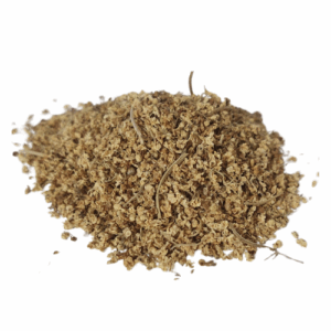 סמבוק שחור אורגני פרחים מנופה Sambucus nigra