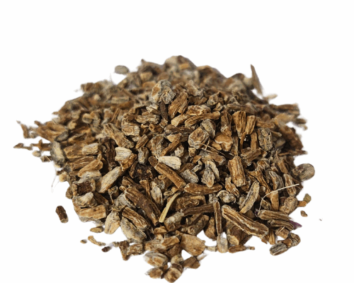 קיפודנית צרת עלים אורגני יבוא שורש גרוס Echinacea angustifolia