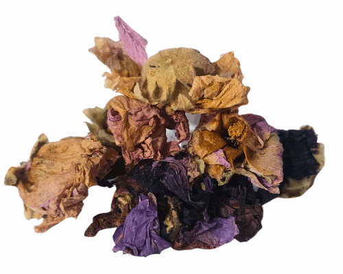 חטמית זיפנית/תרבותית אורגני פרחים שלם Alcea setosa