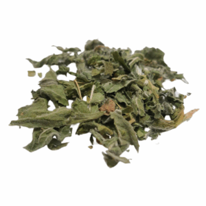 ערברבה שעירה ללא ח.הדברה צמח גרוס Epilobium hirsutum