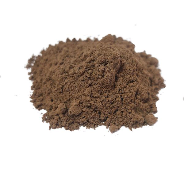 אנגליקה סינית שורש אבקה Angelica sinensis