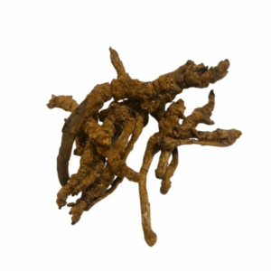 HUANG LIAN HS קופטיס שורש - תוסף תזונה - Coptis chinensis