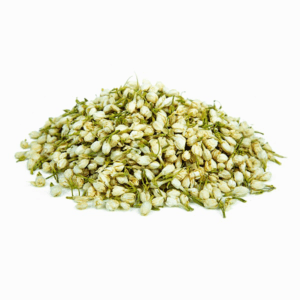 יסמין רפואי סין פרחים שלם Jasminum officinale