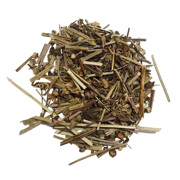 Ban Zhi Lian HS קערורית צמח – Scutellaria barbata
