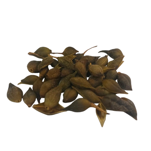 LIAN QIAO HS פורסיטיה פירות – תוסף תזונה