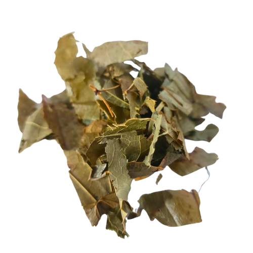 YIN YANG HUO HS אפימדיום אורגני יבוא צמח – תוסף תזונה- Epimedium grandiflorum