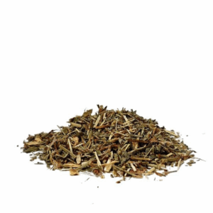 ארכובית הציפורים נוף הצמח גרוס Polygonum aviculare
