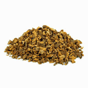 ג'נטיאנה שורש גרוס Gentiana lutea