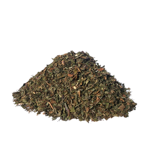 מנטה נענה עלים גרוס Mentha spicata