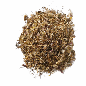 שרביט זהב (סולידגו) צמח שלם גרוס Solidago virgaurea