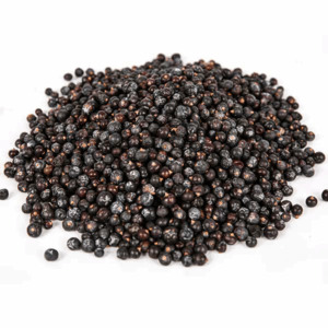 ערער מצוי פרי שלם Juniperus communis