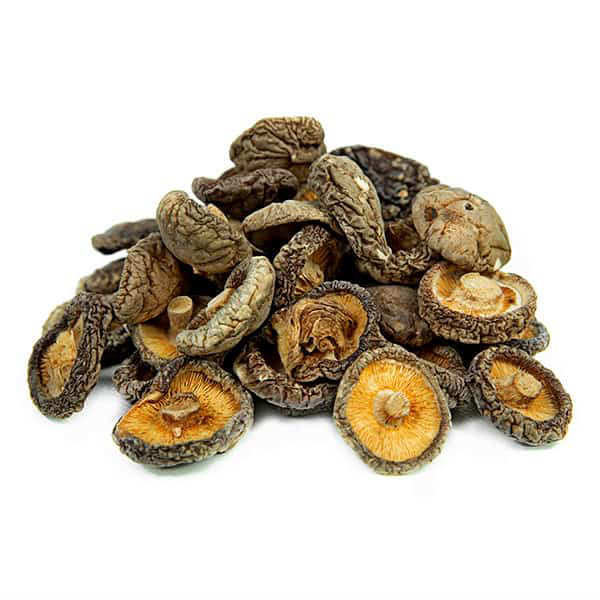 שיטאקי פטריה שלם Lentinula edodes (Shitake)