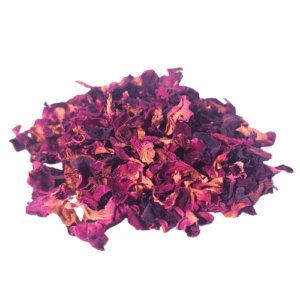 פרחי ורדים - עלי הפרח מפורדים Rosa rugosa