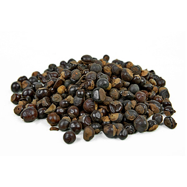 בילברי – Vaccinium myrtilus