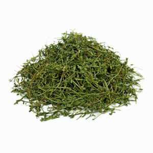 בקופה (פשטה שרועה) הודו צמח קצוץ - תוסף תזונה Bacopa monnieri