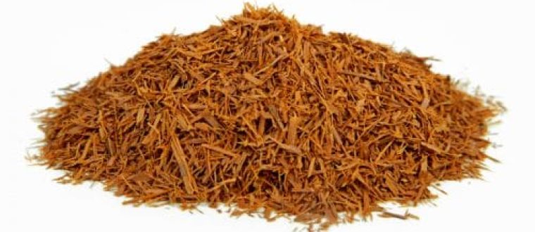 אוניה דה גאטו