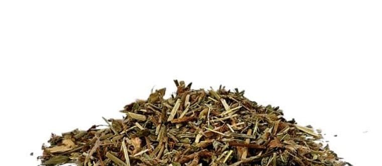 ארכובית הציפורים- arenastrum Polygonum