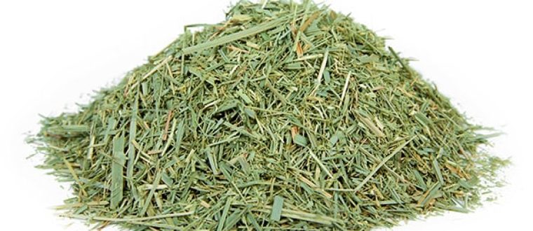 עשב לימון – Cymbopogon citratus – רב זקן לימוני