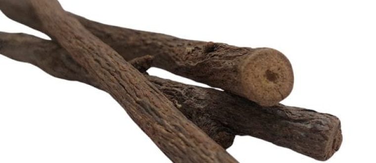 שוש קירח – Glycyrrhiza galabra