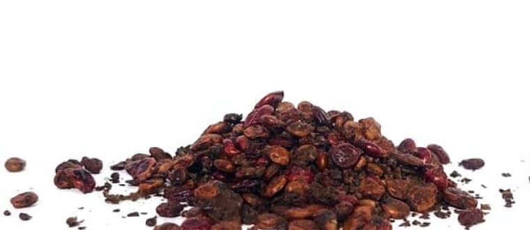 סומק אוג הבורסקאים