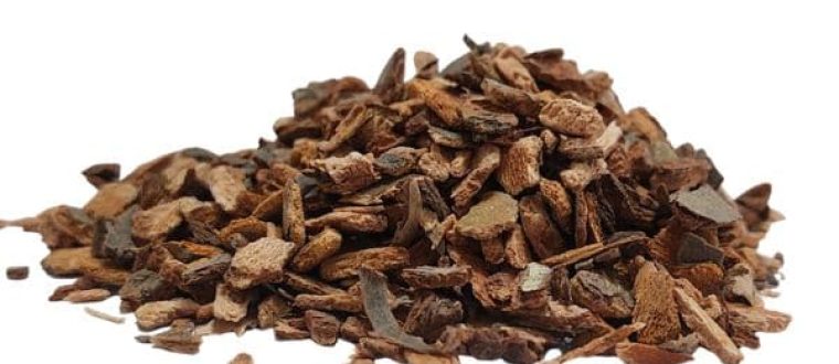 דובדבן הבר – Prunus serotina