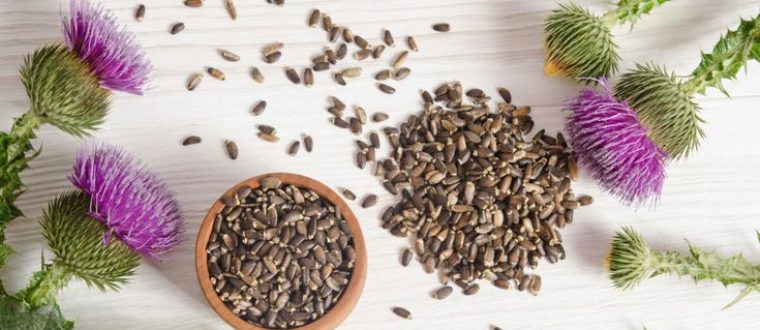 שימוש בצמחי מרפא כמזון – רעיונות חדשים