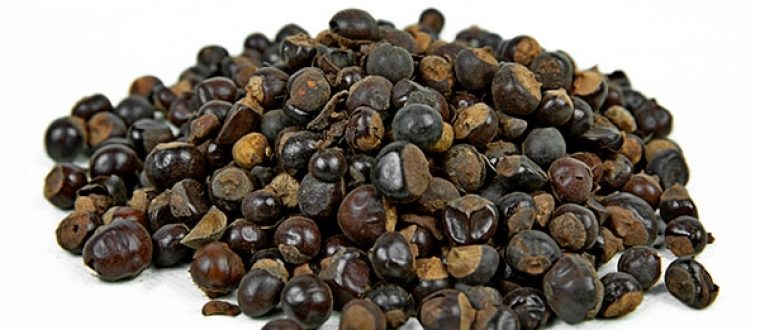 גוארנה – Paullinia cupana