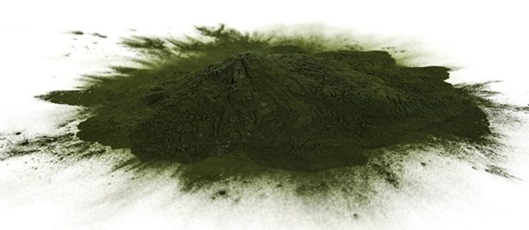 כלורלה – Chlrella vulgaris