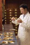 An Introduction to Traditional Chinese Medicine