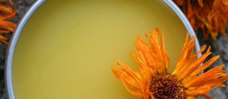 צמחי מרפא מומלצים לפגעי עור וקוסמטיקה