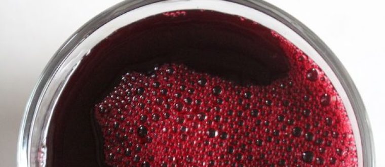 ארוניה – Aronia melanocarpa