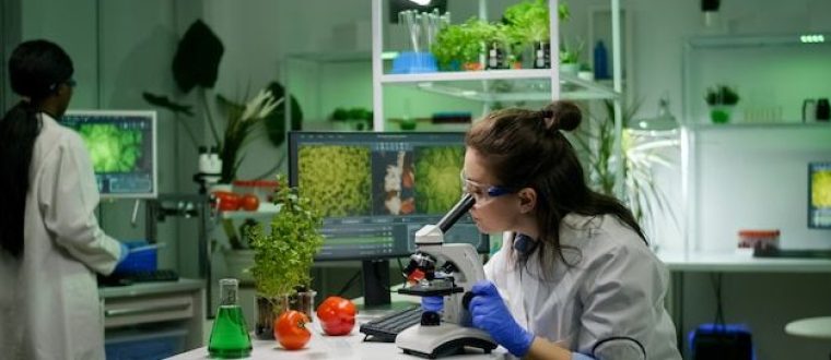 אנטיאוקסידנטים במשקאות בריאות – האם יש קליטה?