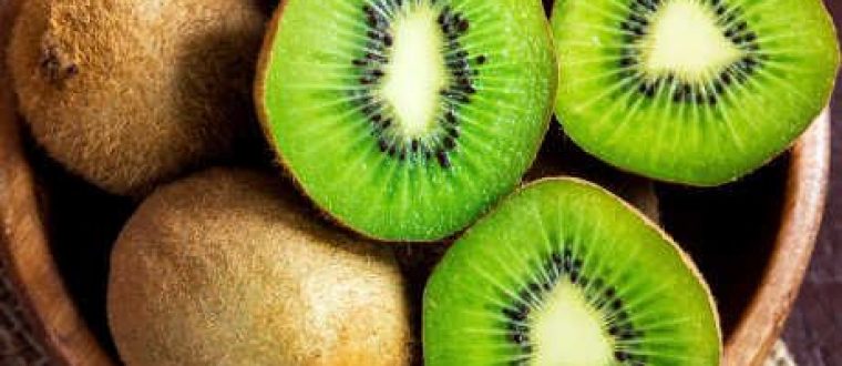 קיווי- Kiwifruit, Actinidia deliciosa, Actinidiaeae