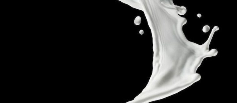 מי גבינה – Whey protein