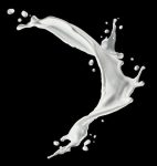 Milk splash isolated on black background _ Premium Photo