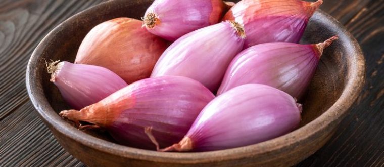 שאלוט- Shallot- Allium cepa