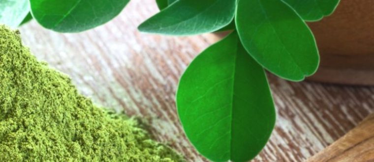 מורינגה רותמית – Moringa peregrina