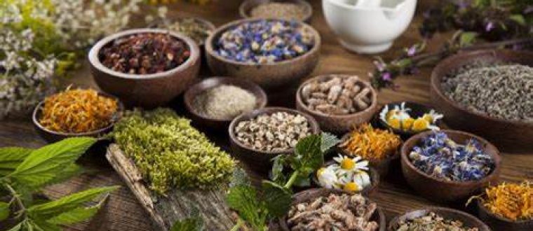 צמחי מרפא בתרבות הרוסית