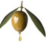 Olive Squalane - 30ml