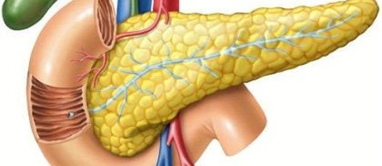 החומציות מזיקה ללבלב