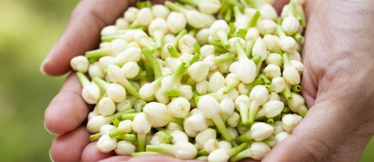 צמחי מרפא לפסוריאזיס – Psoriasis- Alternative treatment