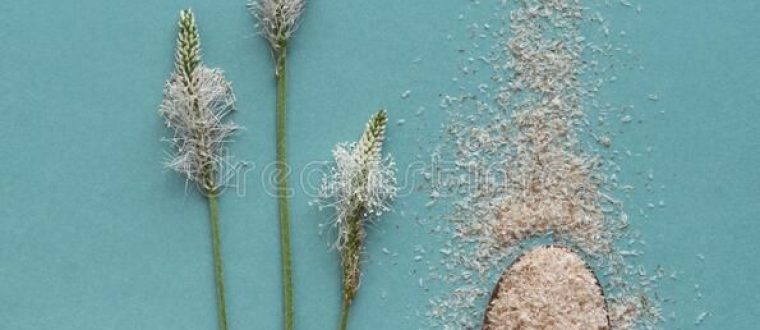 ליפוזומים – Liposome silibinin