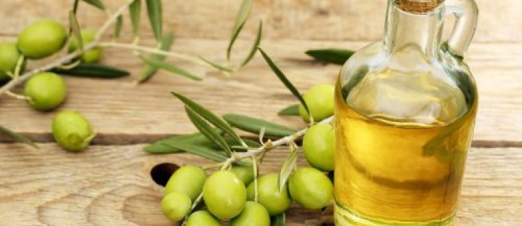 השפעת תרכובות פנוליות בשמן זית כתית